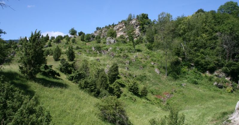 Wacholderheide im Meißner-Vorland