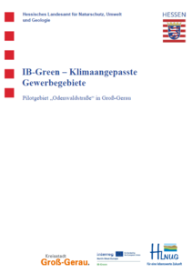 Abschlussbericht der Kommune Groß-Gerau