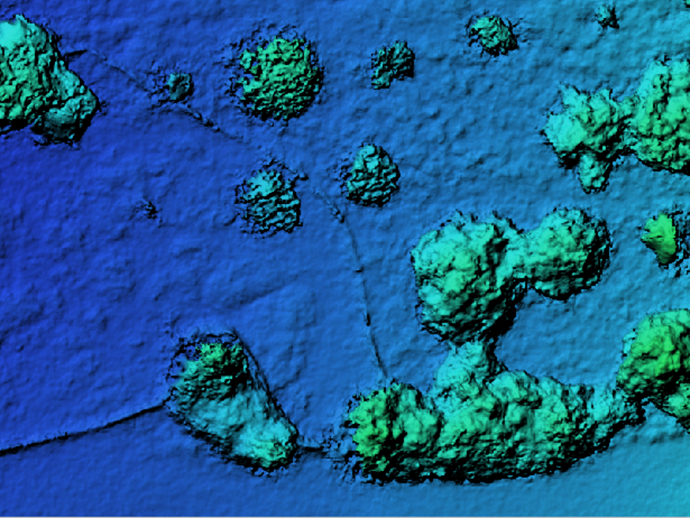 Digitales Höhenmodel eines Streuobstbestands Trinity_DEM2.PNG