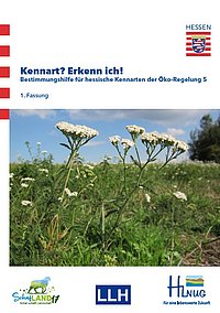 Titelbild der Kennarten-Broschüre mit Gewöhnlicher Schafgarbe