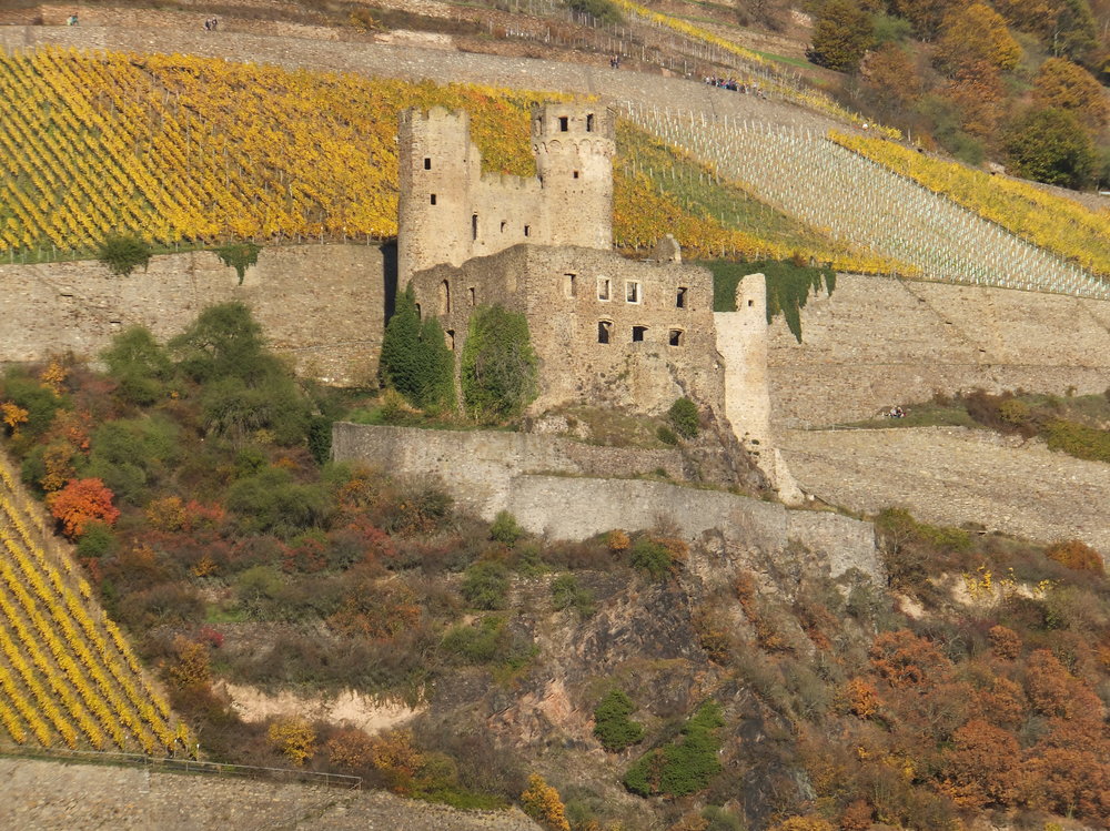 Eine Burg am Rhein