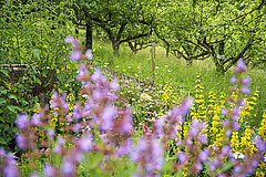 nah_aussenanlagen_1175_small.jpg