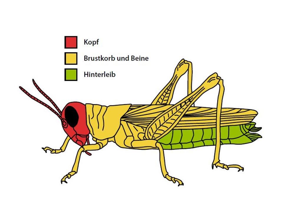 Dreiteiler_Grafik_NEU.JPG