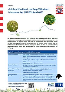 Titelseite von Praxisblatt zu den Lebensraumtypen 6510 und 6520