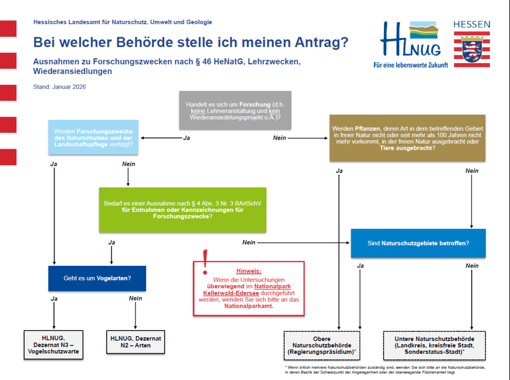 Entscheidungshilfe Entscheidungshilfe