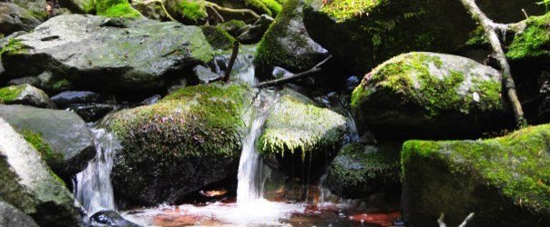 Bach mit Basaltblöcken im Mittelgebirge