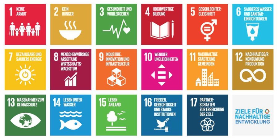17 Ziele der SDG