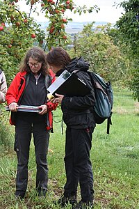 Kartierung einer Streuobstwiese