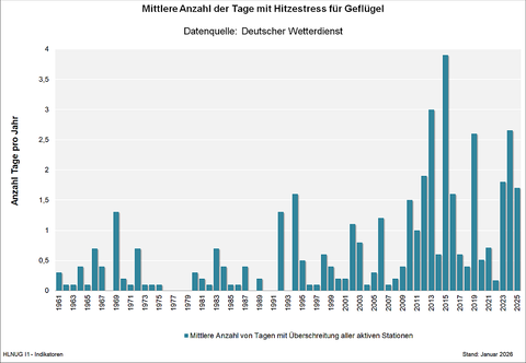 Wärmebelastung bei Geflügel