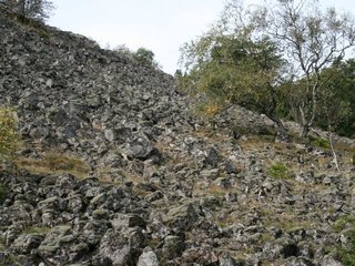 Basalt-Schutthalde am Hohen Meißner