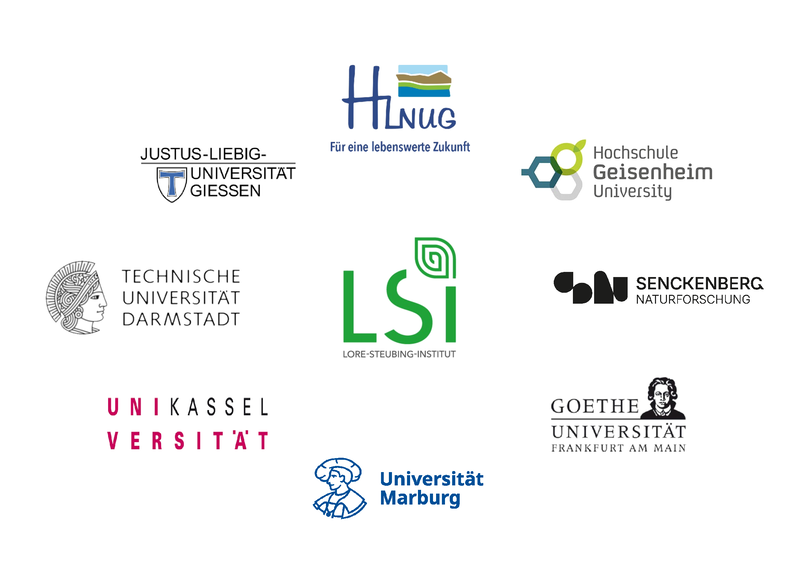 LSI_Partner_2025.png