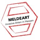 LOGO_Meldeart.JPG