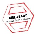 LOGO_Meldeart.JPG