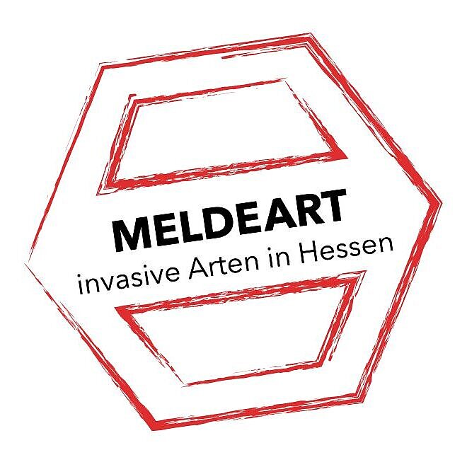 LOGO_Meldeart.JPG