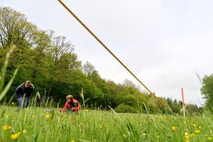 Erstellung einer Vegetationsaufnahme in einer markierten Dauerbeobachtungsfläche