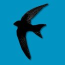 VSWFFM_Logo_2018.jpg
