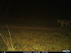 Wak_08_2023_02_24.JPG
