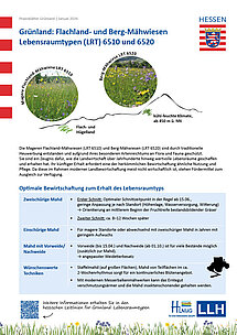 Titelseite von Praxisblatt zu den Lebensraumtypen 6510 und 6520