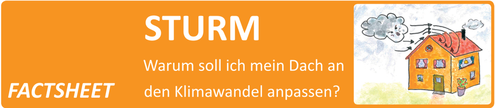 Dach_Sturm.png