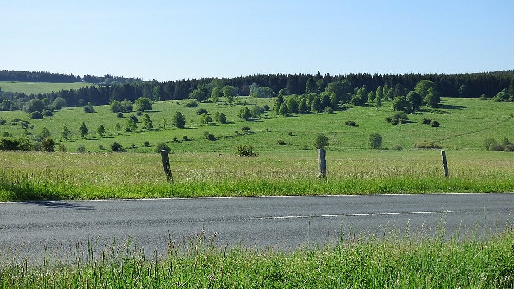 VSG_Hoher_Westerwald_Baumann_Hoffmann_Happel.jpg