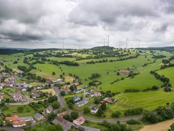 Rotmilanschutz und nachhaltiger Windenergieausbau in Hessen