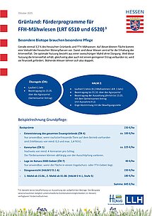Titelblatt des Praxisblattes zu Förderprogrammen für FFH-Grünland