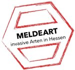 MeldeArt2.JPG