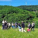 Das Foto zeigt Personen, die an der Fortbildung "Grünland erfassen" teilnehmen und auf einer Wiese Pflanzen und Pflanzengesellschaften bestimmen. Im Vordergrund sieht man eine artenreiche Wiese, im Hintergrund Wald und Windkraftanlagen.