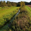 01_Bach_in_Agrarlandschaft_Andrea_Sundermann_2021_Senckenberg.jpg