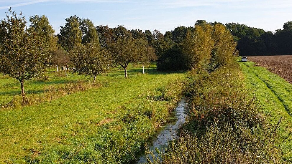 Eventbasierte Erfassung und Bewertung diffuser Pflanzenschutzmitteleinträge für den Biodiversitätsverlust in hessischen Fließgewässern (PSM-Biodiv)