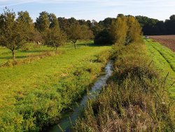 Bach in Agrarlandschaft