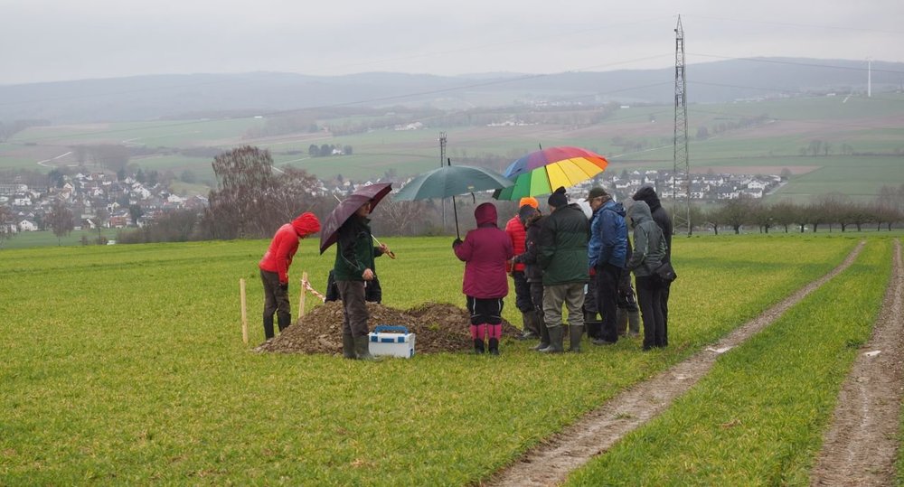 Personen mit Regenschirmen auf einem Acker