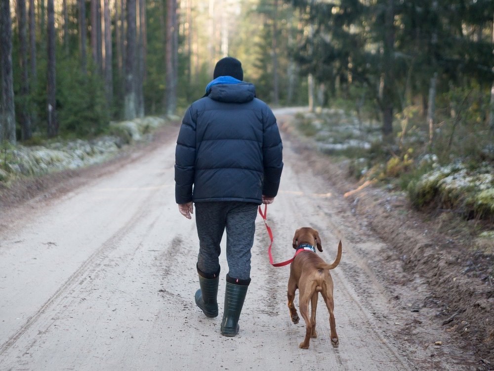 Spaziergänger mit Hund