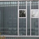 Glas.JPG