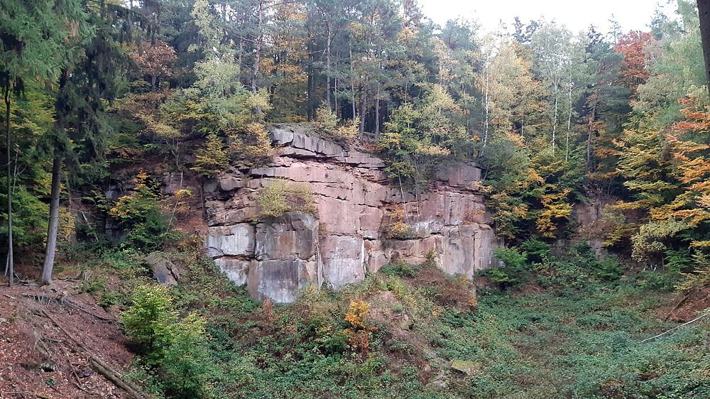 Buntsandstein-Steinbruch bei Neuhof