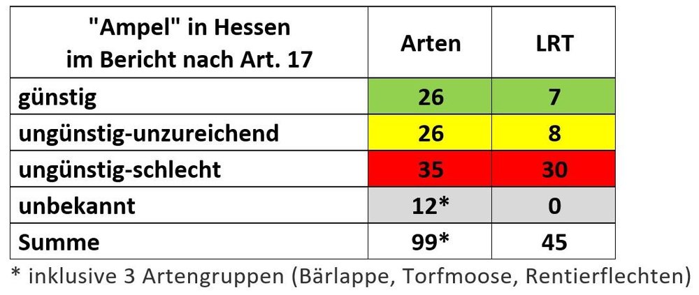 Bericht_Monitoring_2019.JPG