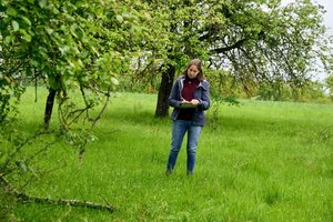 Kartierung einer Streuobstwiese im Rahmen des HNV-Farmland-Idikators