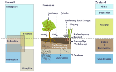 Schaubild Übersicht über die verschiedenen Omweltkompartimente