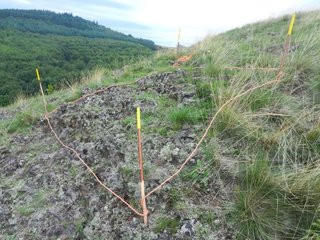 Daueruntersuchungsfläche auf einer Silikatfelskuppe mit Pioniervegetation