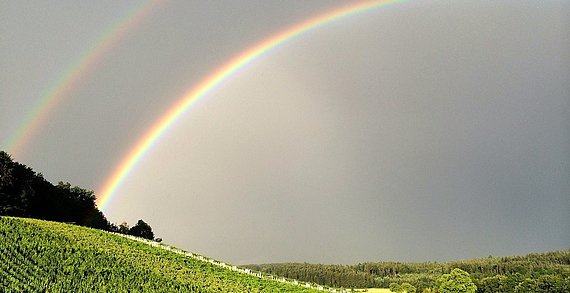 rainbow-1638622_1280.jpg