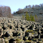 Blockhalde am Schafstein