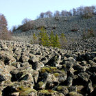 Blockhalde am Schafstein