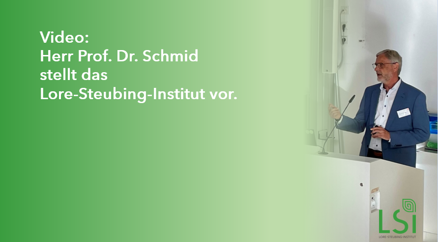 Prof. Dr. Schmid stellt das LSI vor