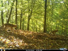 221012_0950_OEWI_11.JPG