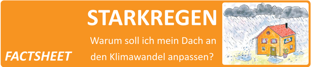 Dach_Starkregen.png