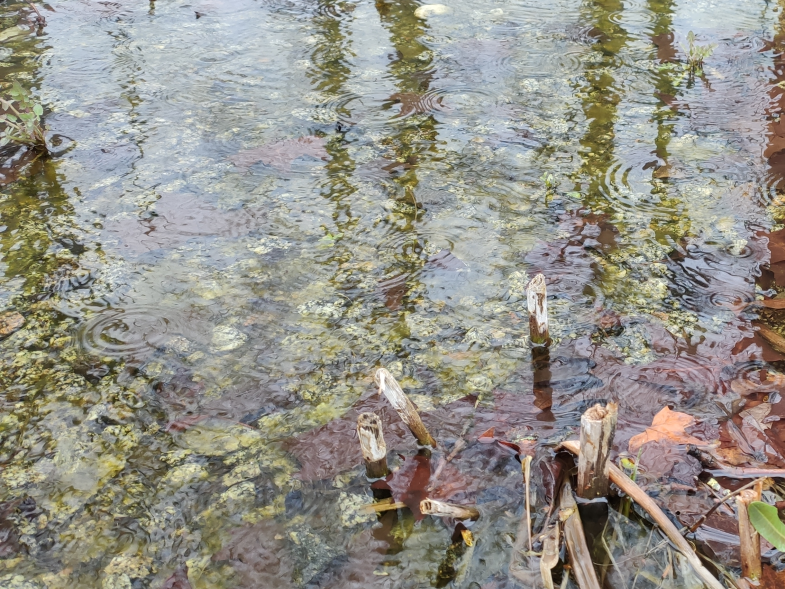 Regen, der auf einen künstlichen Teich fällt. Regen, der auf einen künstlichen Teich fällt.