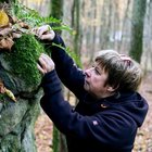 Bestimmung von Farnen an Feldsen im Rahmen der Biotopkartierung