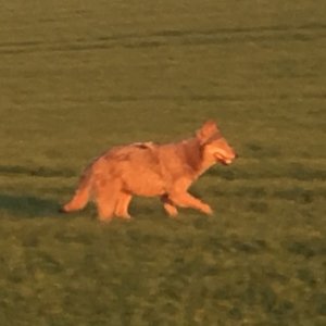 IMG-20170427-WA0008_zuschnitt.jpg