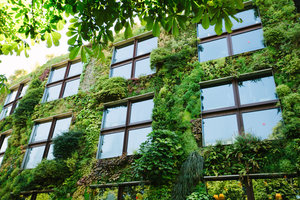 Foto des vertikalen Gartens am Museum Quai Branly, Paris