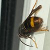 IMG1114111936.jpg